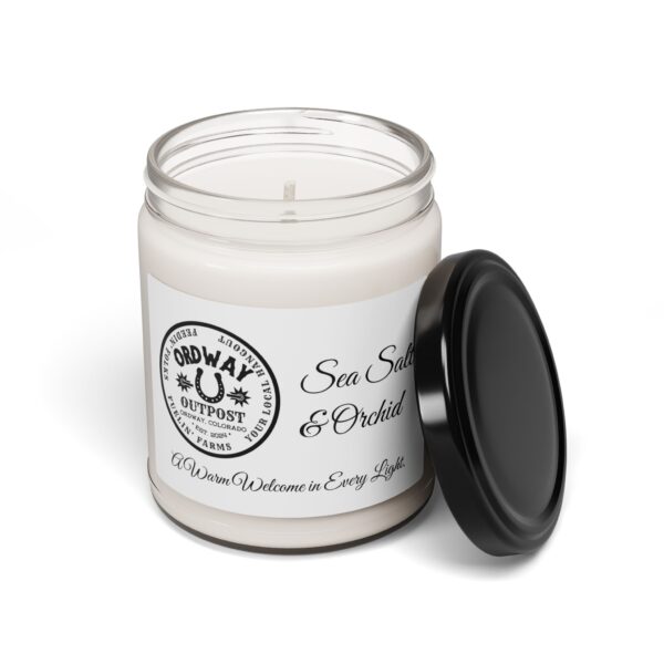Clear Cotton Scented Soy Candle - 9oz - Cozy Home Fragrance - Image 6
