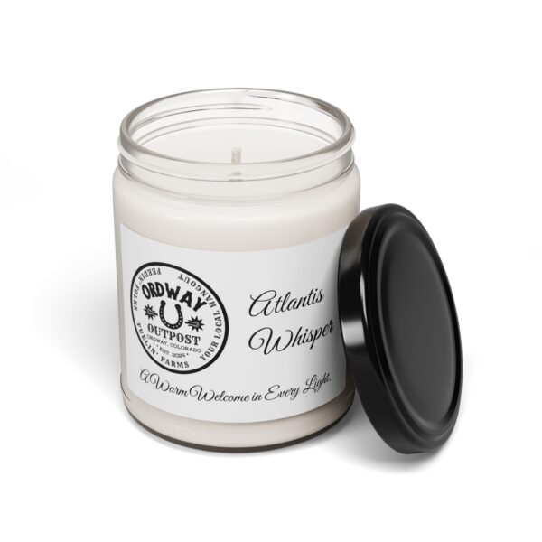 Clear Cotton Scented Soy Candle - 9oz - Cozy Home Fragrance - Image 21