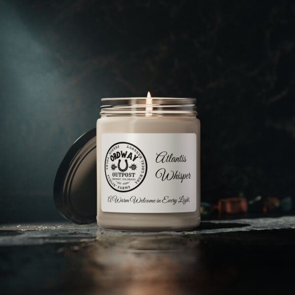 Clear Cotton Scented Soy Candle - 9oz - Cozy Home Fragrance - Image 24