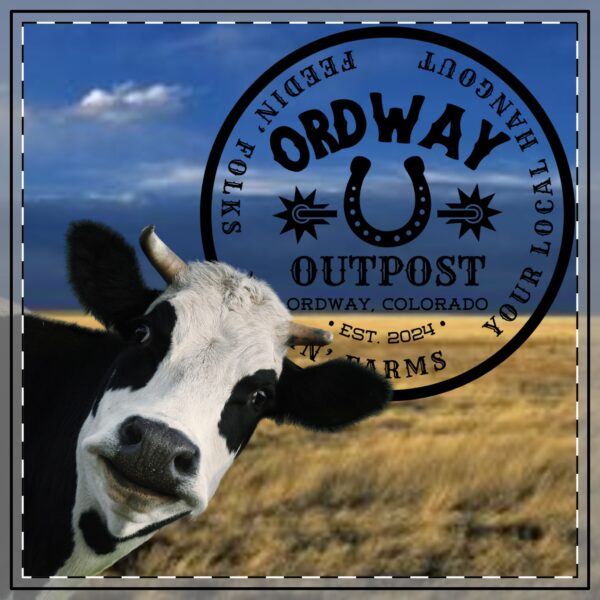 Custom Cow Shape Magnet - Ordway Outpost Farm Decor - Image 2
